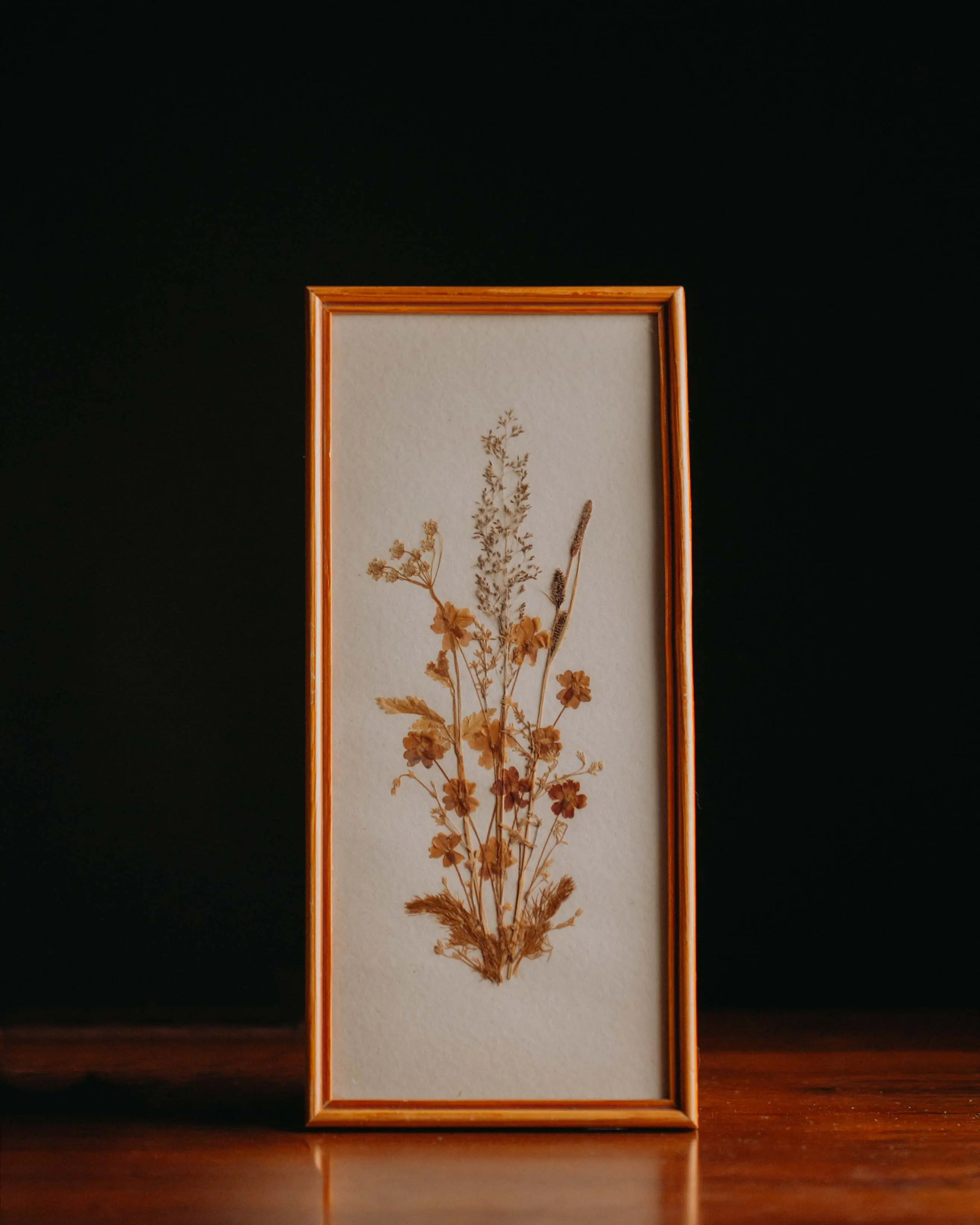 Gesamtansicht Second-Hand Blumenbild gebraucht, ein Kunstwerk aus getrockneten Blumen zum Aufhaengen aus dem Duerer Haus Potsdam