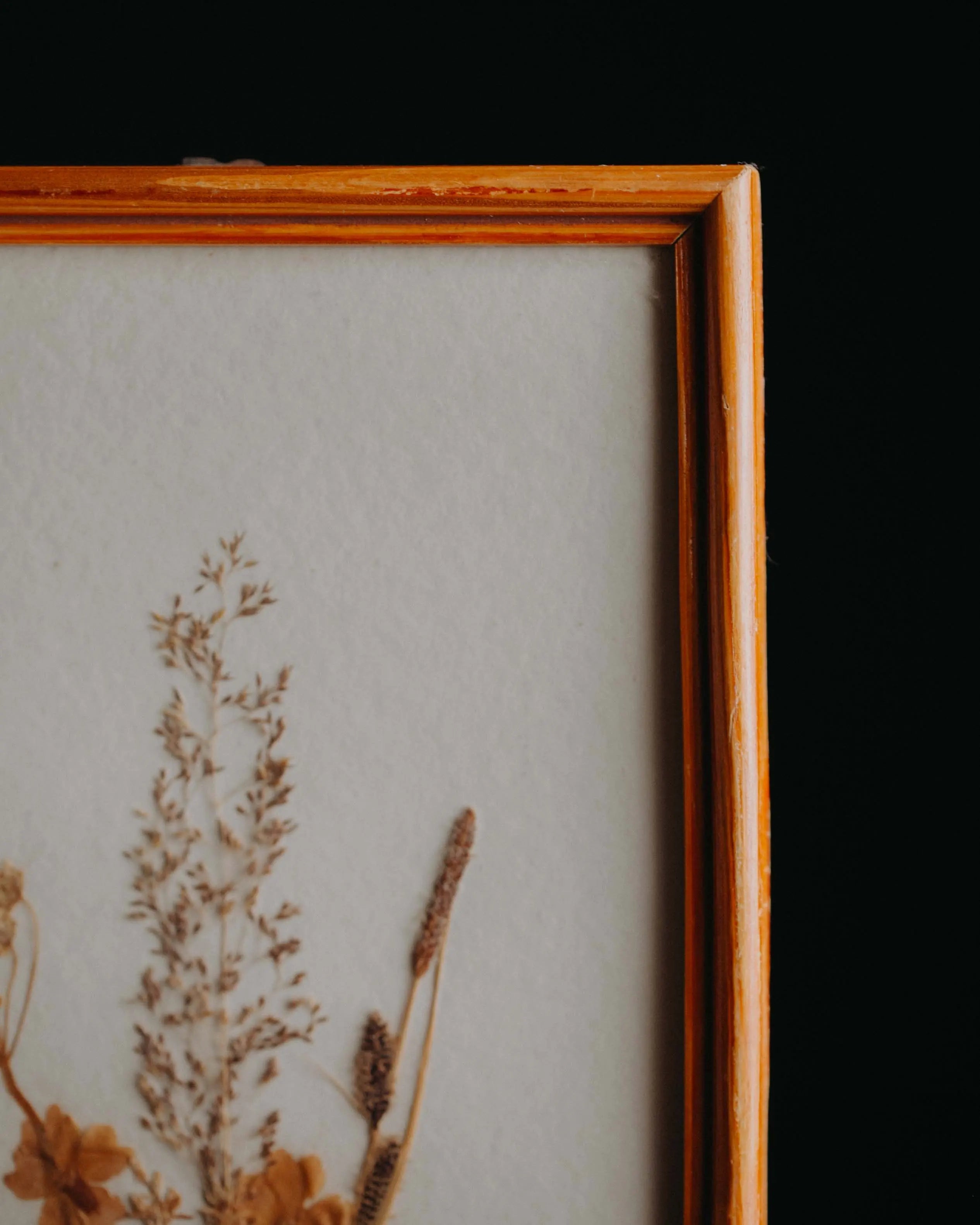 Rahmenansicht Second-Hand Blumenbild gebraucht, ein Kunstwerk aus getrockneten Blumen zum Aufhaengen aus dem Duerer Haus Potsdam