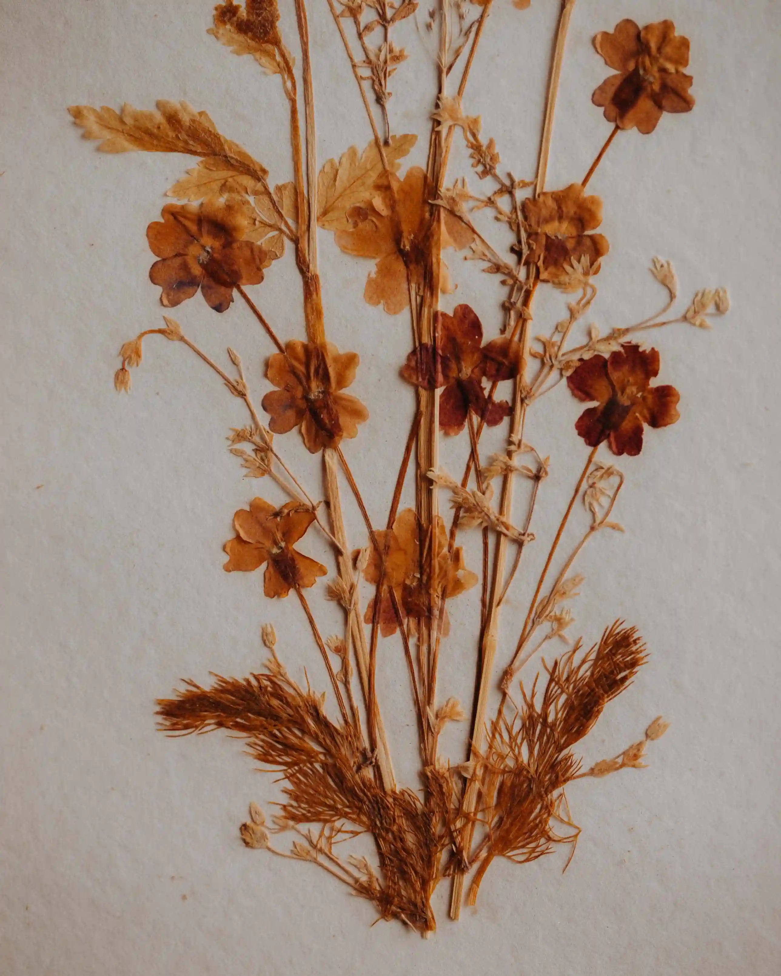 Ansicht handgemachte Blumen Second-Hand Blumenbild gebraucht, ein Kunstwerk aus getrockneten Blumen zum Aufhaengen aus dem Duerer Haus Potsdam