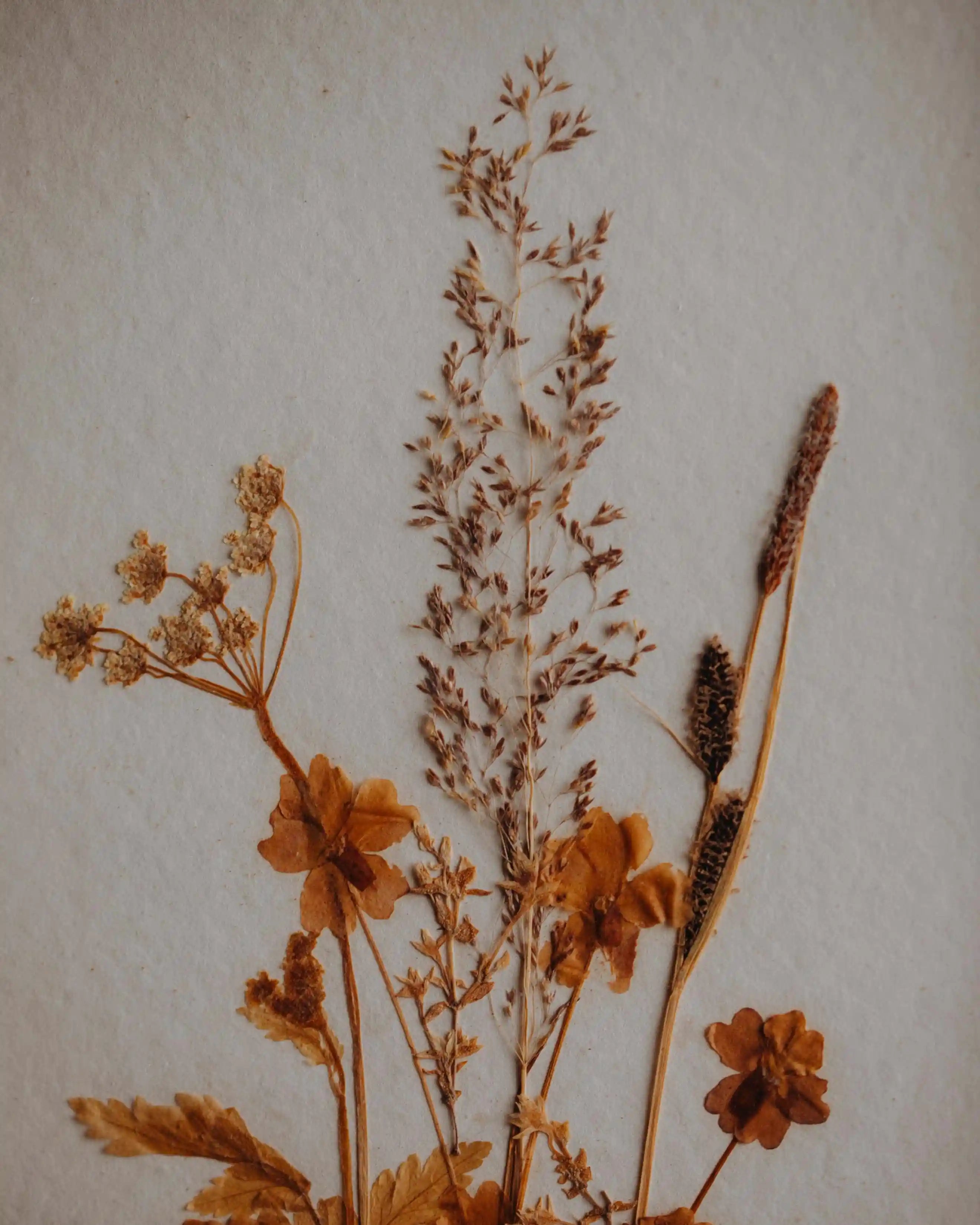 Ansicht handgemachte Blumen Second-Hand Blumenbild gebraucht, ein Kunstwerk aus getrockneten Blumen zum Aufhaengen aus dem Duerer Haus Potsdam