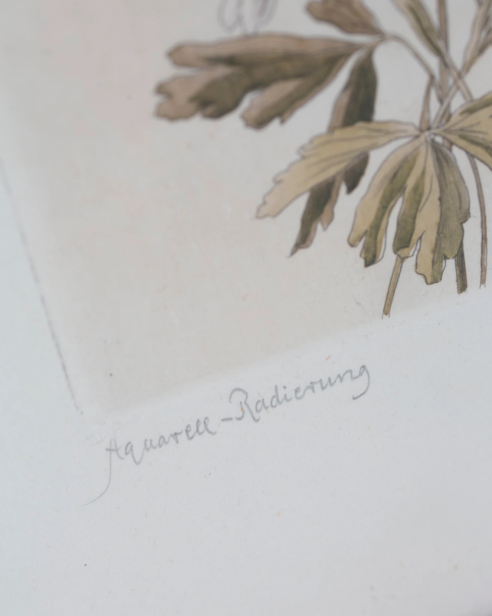 radierung-kunst-wilhelm-pech-aquarell-bilderrahmen-sommer-vintage
