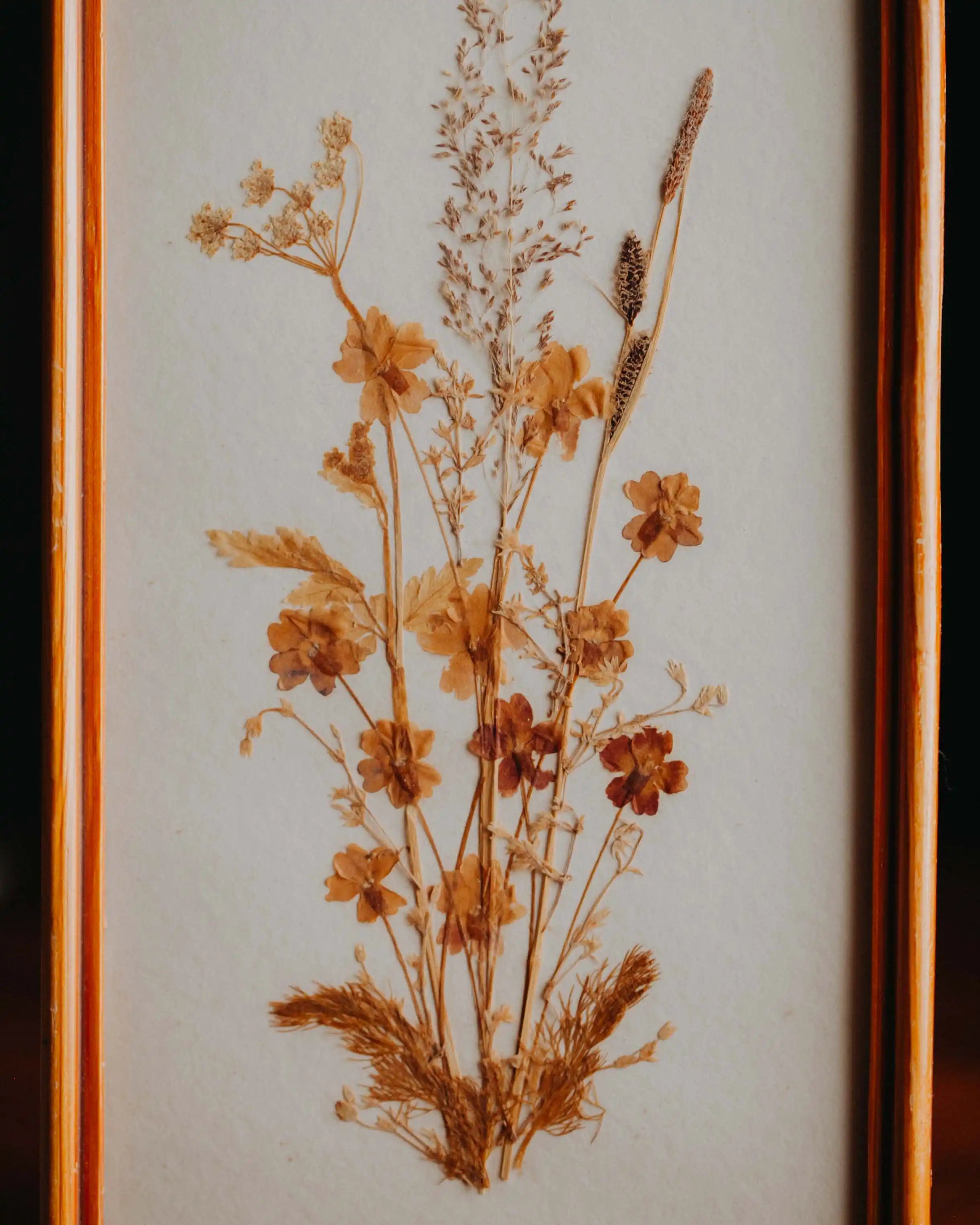 Detailansicht Second-Hand Blumenbild gebraucht, ein Kunstwerk aus getrockneten Blumen zum Aufhaengen aus dem Duerer Haus Potsdam