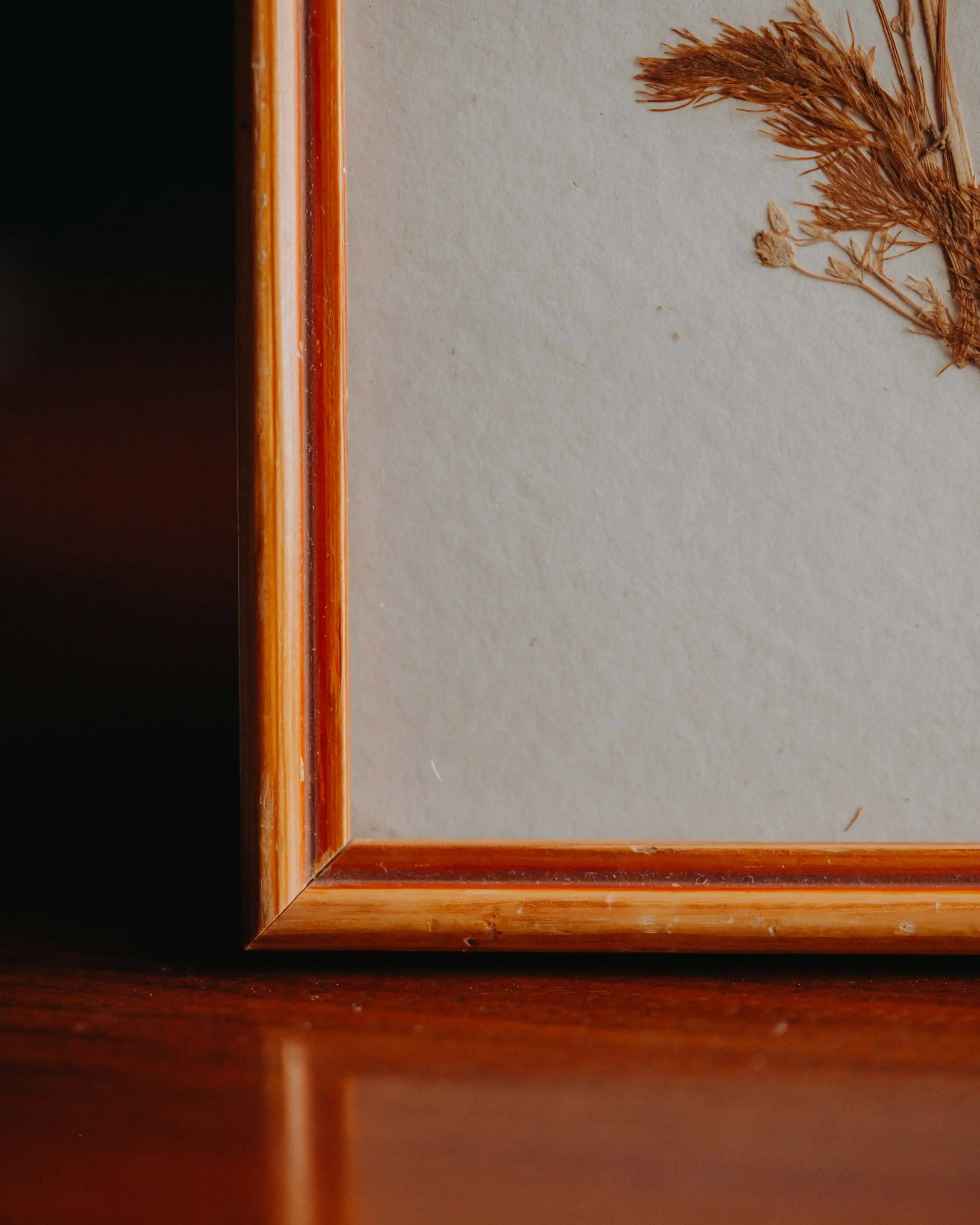 Rahmenansicht Second-Hand Blumenbild gebraucht, ein Kunstwerk aus getrockneten Blumen zum Aufhaengen aus dem Duerer Haus Potsdam