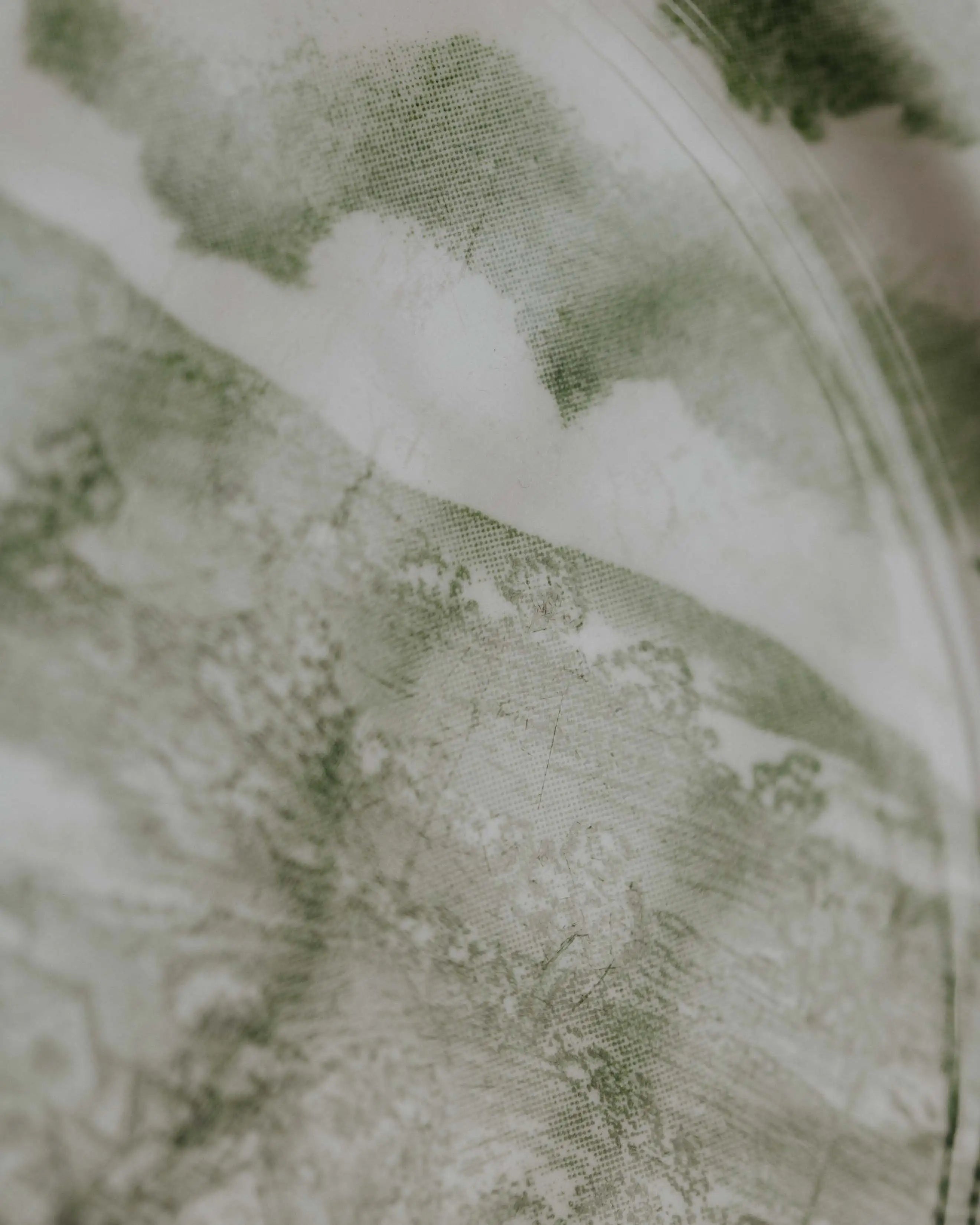 Detail Druck Second-Hand Teller gebraucht, ein Stueck zum Servieren und Anrichten, englische  Teller im landhausstil