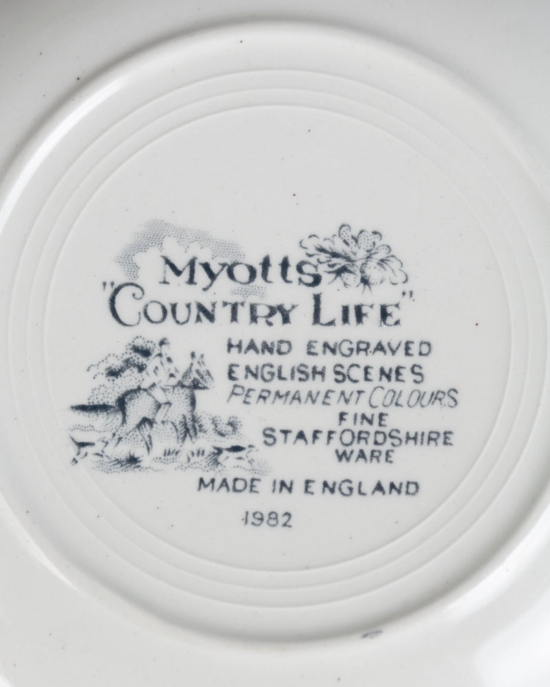 6x englische Suppenteller von Myotts Country Life